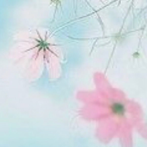 Meet your Posher, Connie - Picture 1 of 1